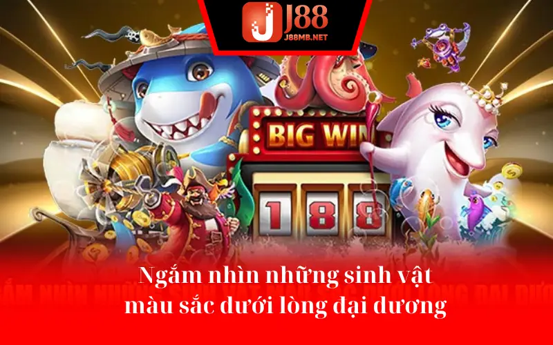 Ngắm nhìn những sinh vật màu sắc dưới lòng đại dương