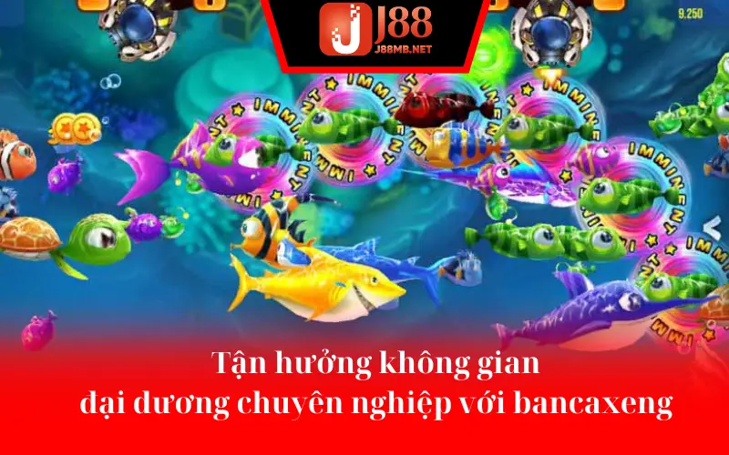 Tận hưởng không gian đại dương chuyên nghiệp với bancaxeng