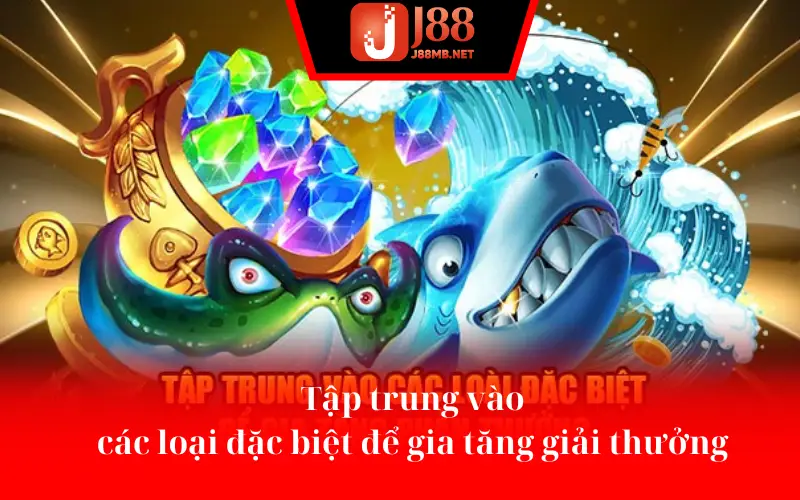 Tập trung vào các loại đặc biệt để gia tăng giải thưởng